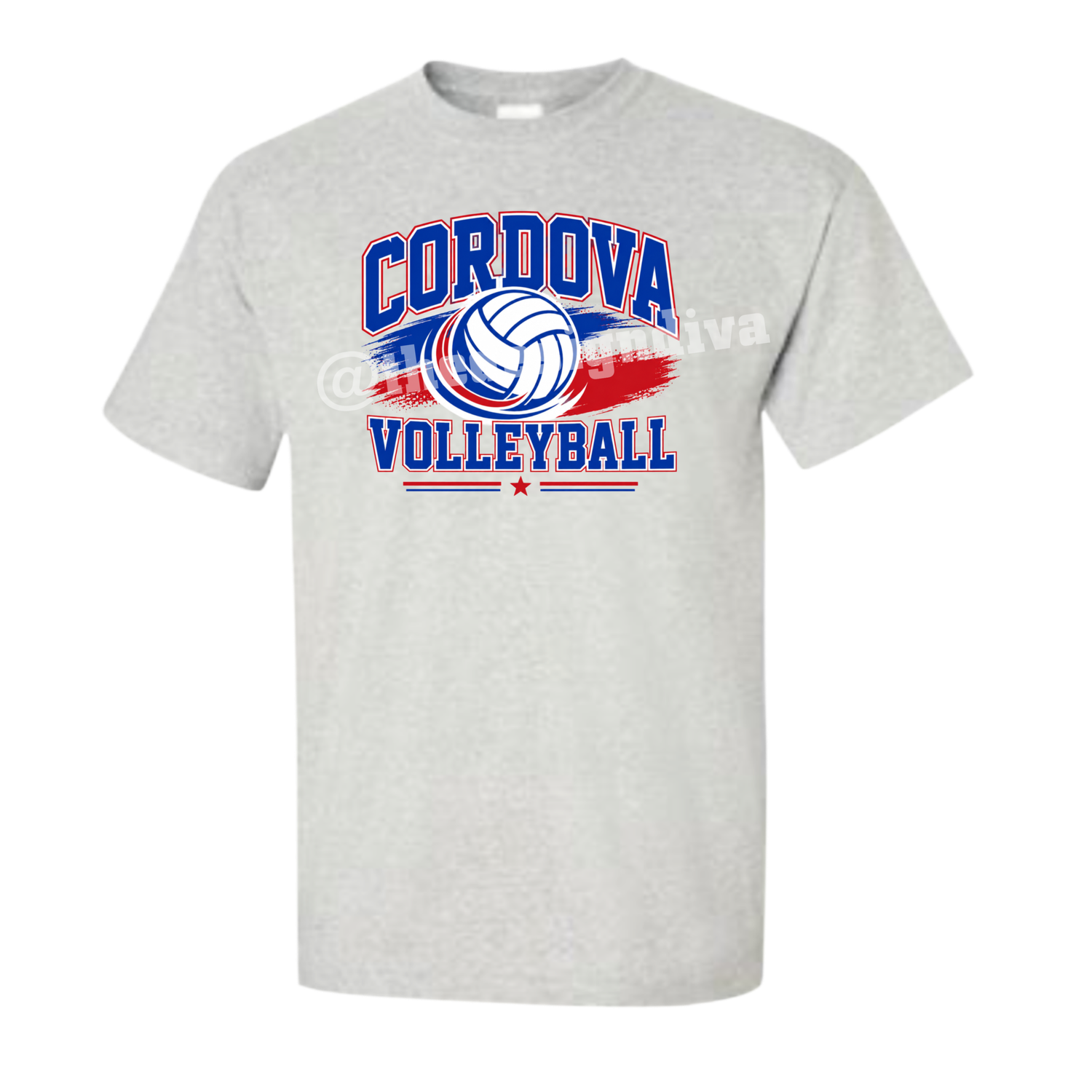 Cordova Volleyball