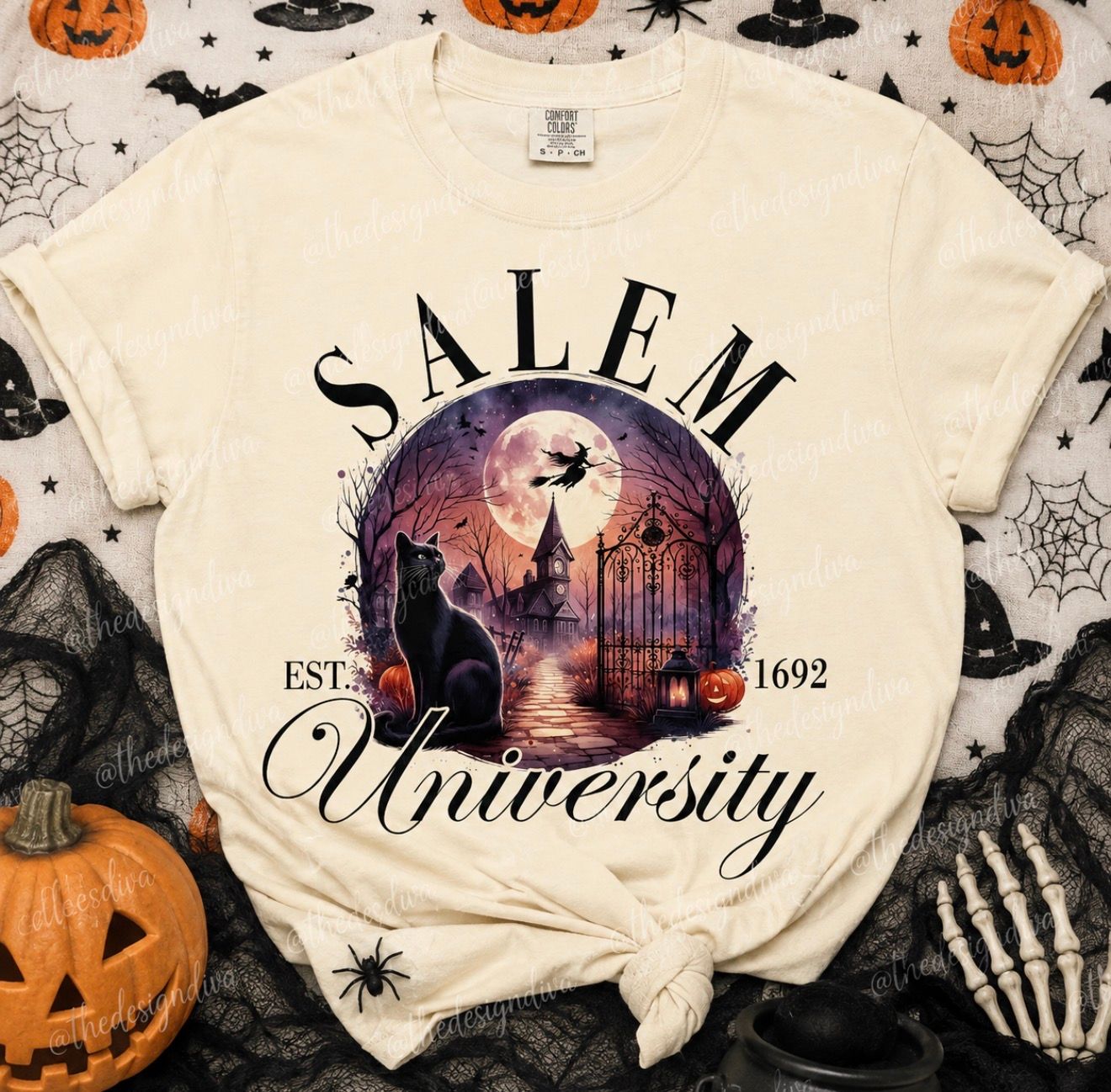 Salem University