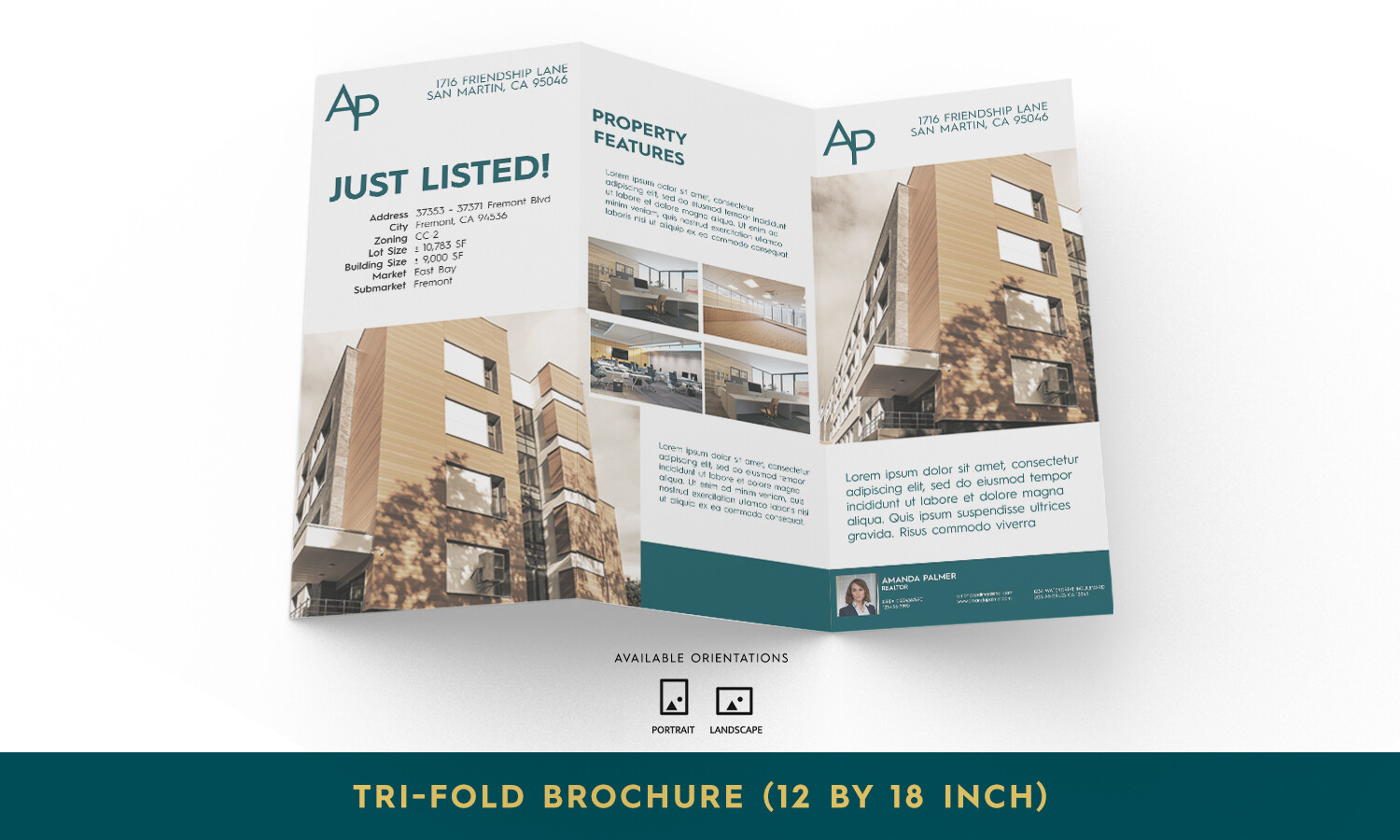Tri-fold Brochure: 12