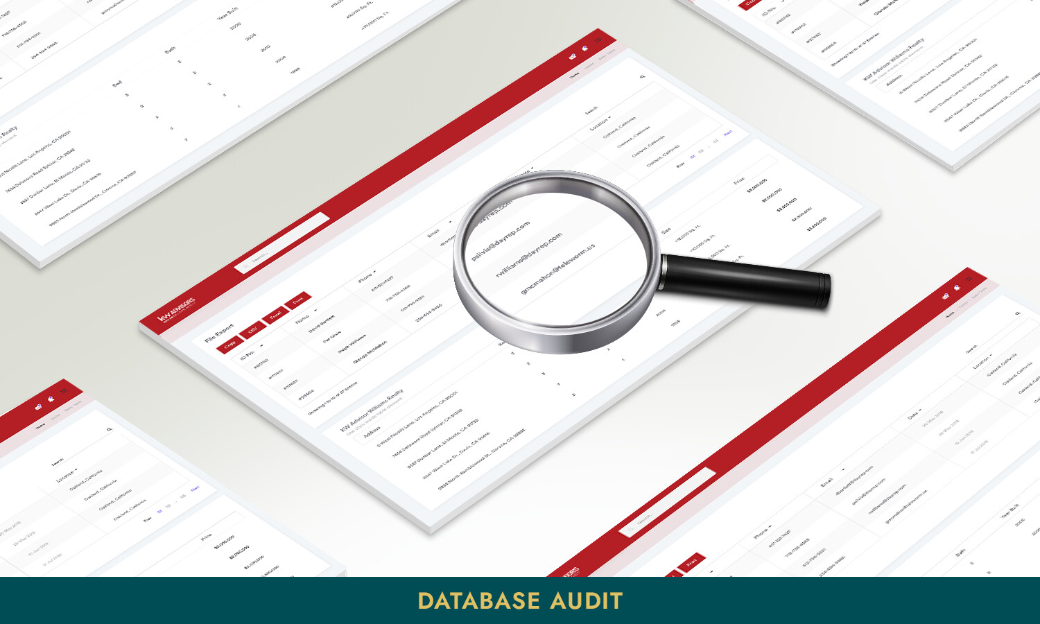 Database Audit