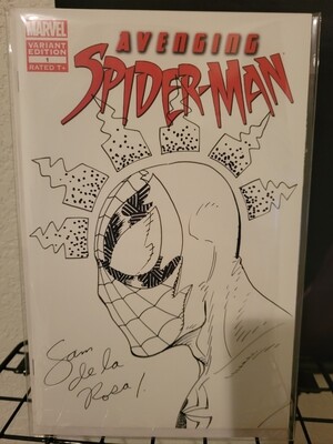 Avenging Spider-man #1 with Autograph CSA and original sketch 