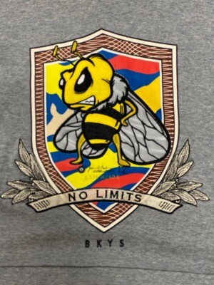 BKYS "No Limits" Hoodie (H. Gray)