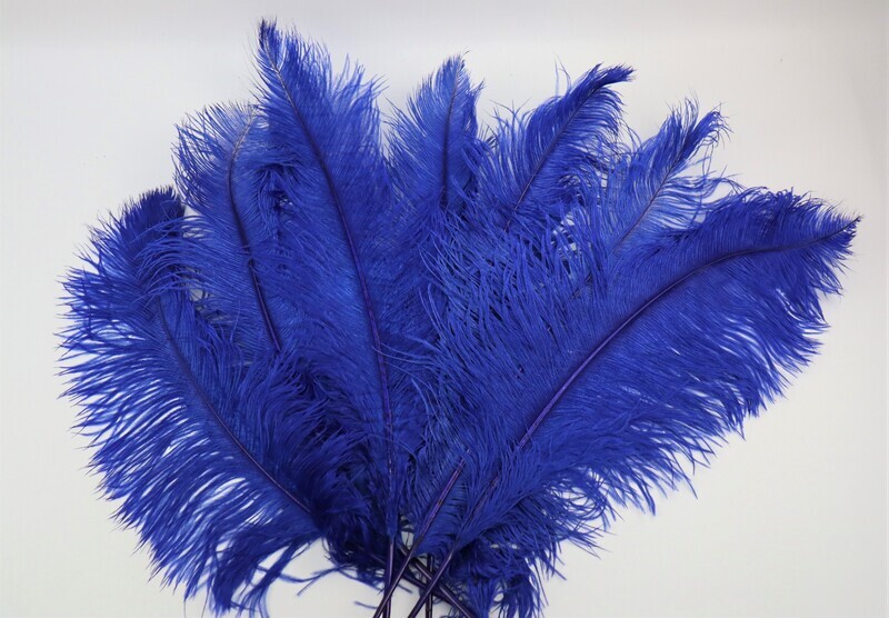 Straussenfeder &quot;blau&quot;