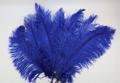 Straussenfeder &quot;blau&quot;