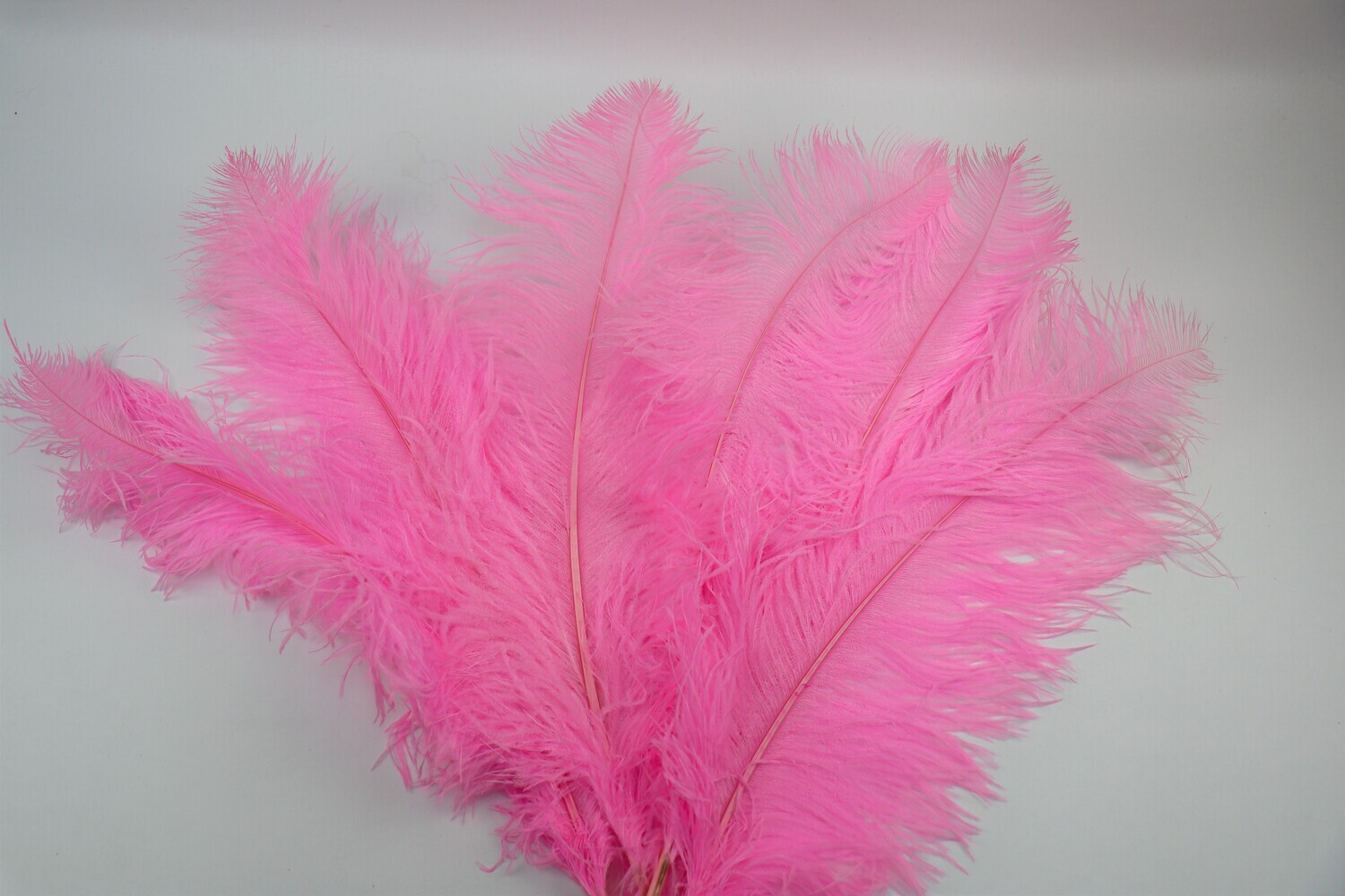 Straussenfeder &quot;pink&quot;