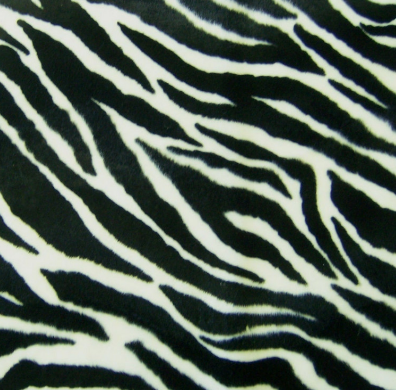 Fellimitat Zebra