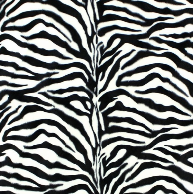 Fellimitat Zebra