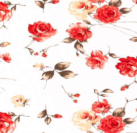 Jersey Rosen &quot;rot&quot;