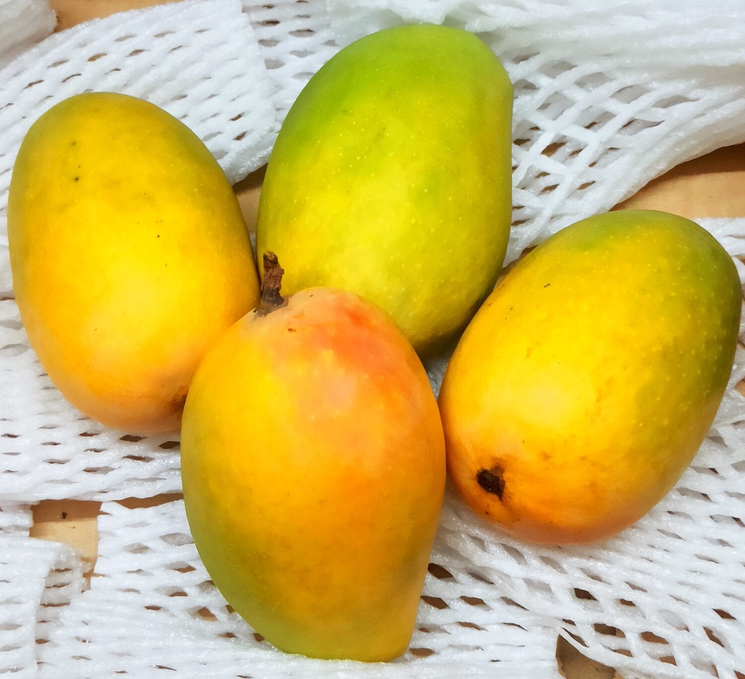 Organic Talala Gir Kesar Mangoes (2.7 to 3 Kg)