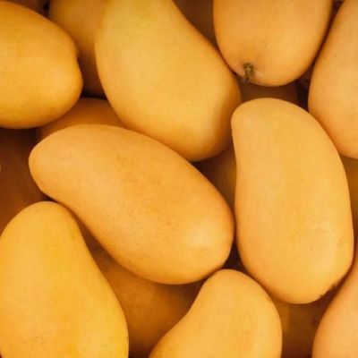 Premium Quality Chaunsa Mangoes (2.7 To 3 Kg)