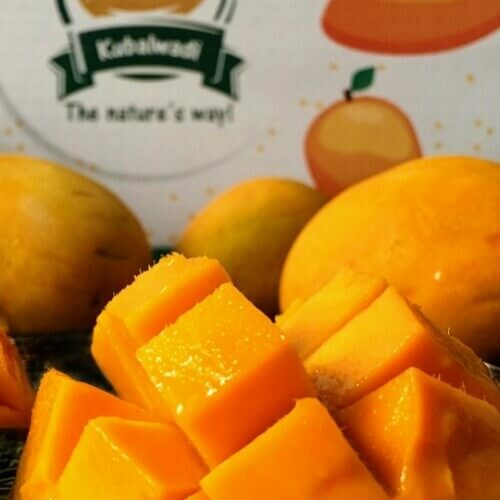 Devgad Alphonso Mangoes - Gold (12 pcs)