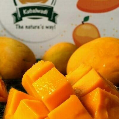 Devgad Alphonso Mangoes - Gold (12 pcs)