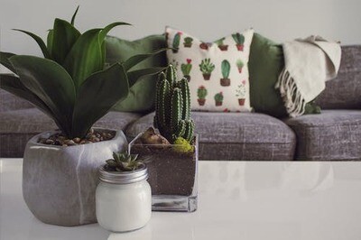 Home and Garden
