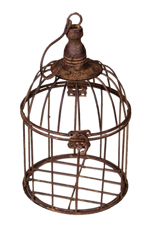 BIRD CAGE 