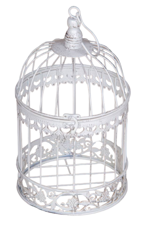 BIRD CAGE - CREAM