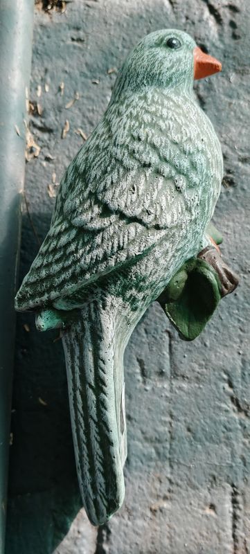 Green bird