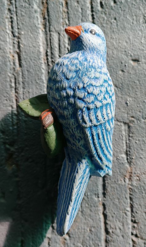 Blue bird