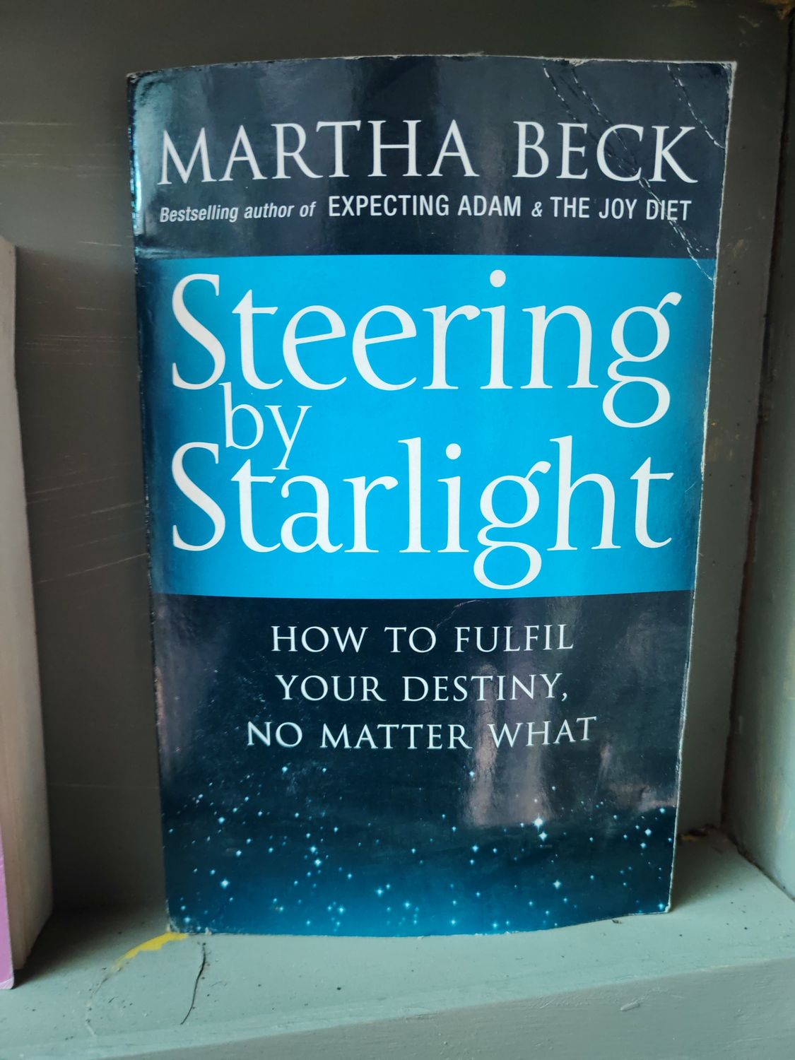 STEERING BY STARLIGHT - M Beck