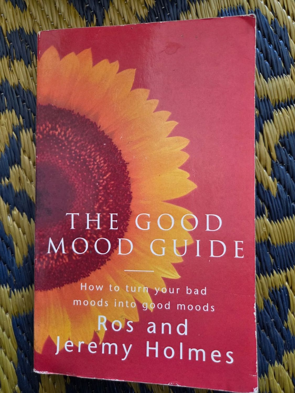 THE GOOD MOOD GUIDE - ROSS AND JEREMY HOLMES