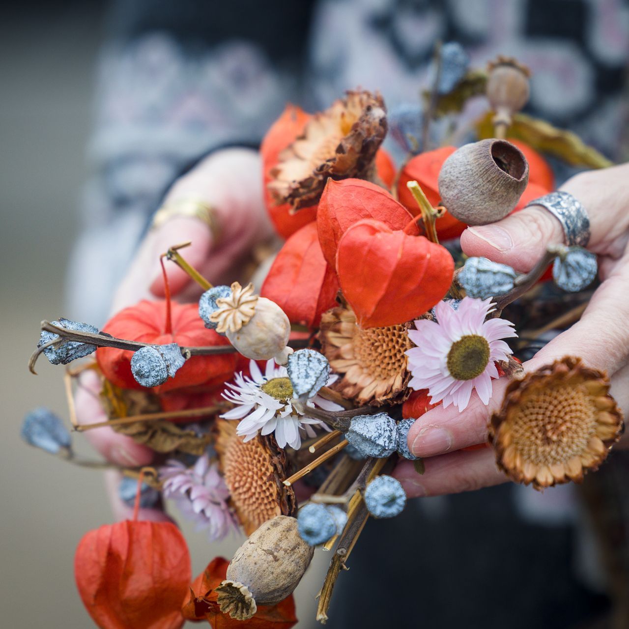 PetjeProjectDag PPD PetjeProjectDag PPD