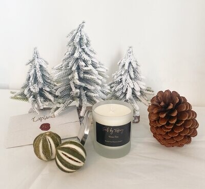 Winter Time Frosted candle 30cl