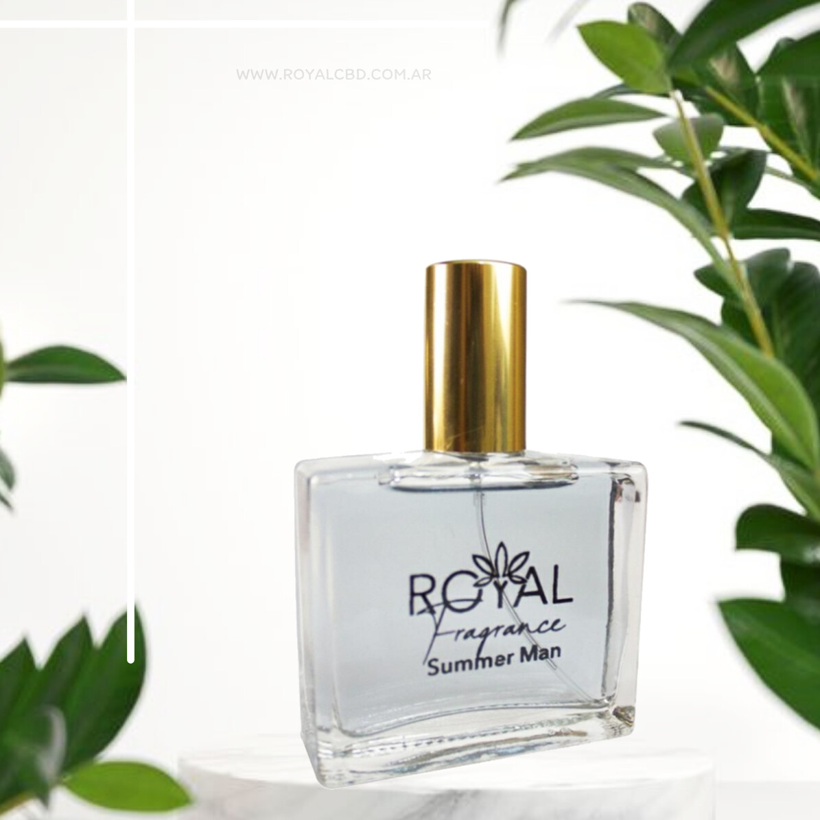 Perfume Royal Summer Men x50ml