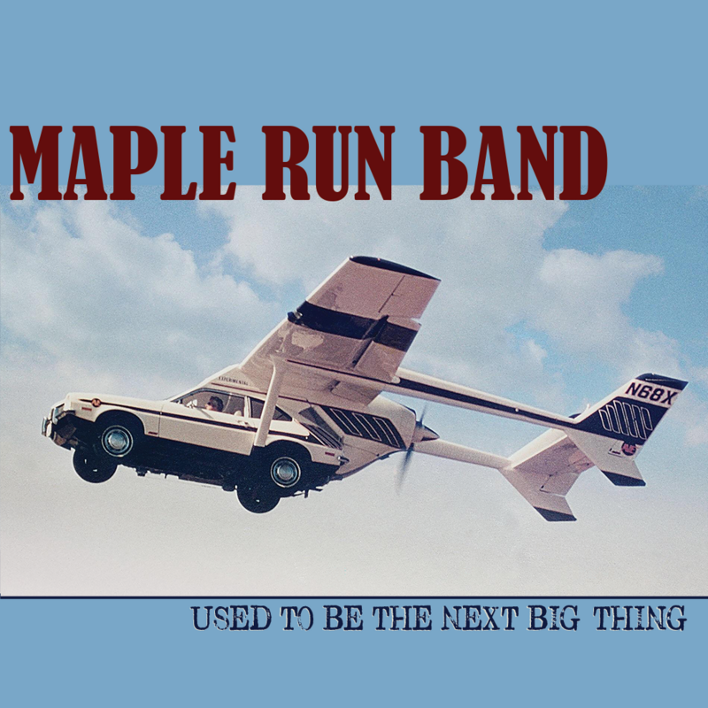 &quot;Used To Be The Next Big Thing&quot; Digital Download