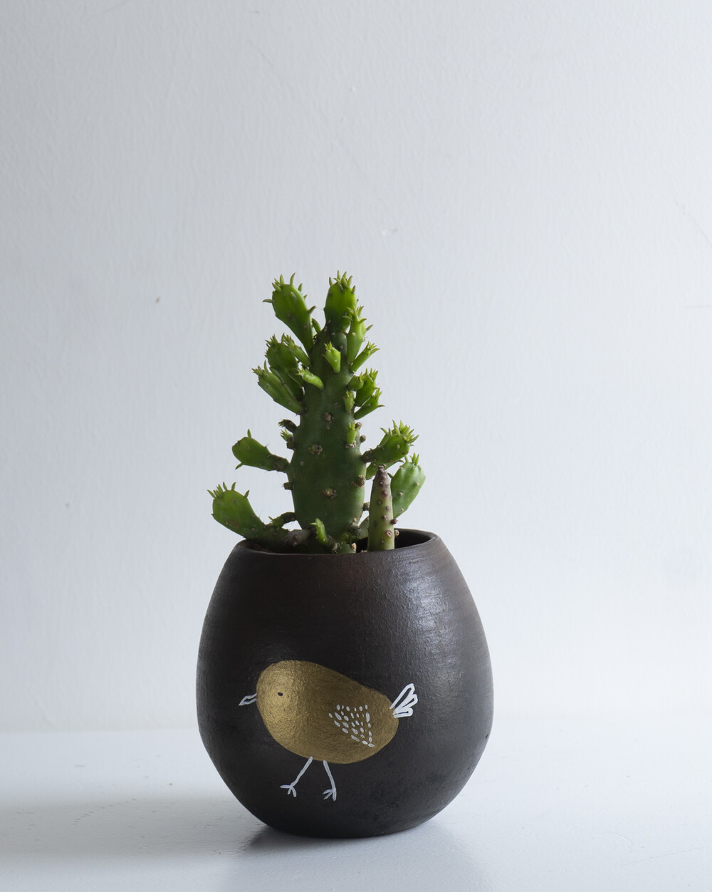 Li’l Coco Terracotta Planter
