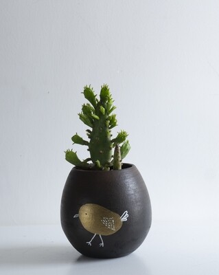 Li’l Coco Terracotta Planter
