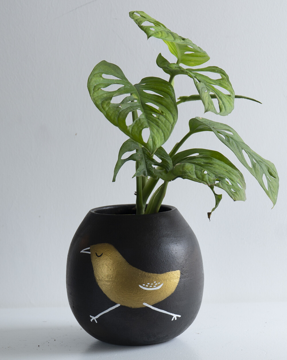 Audra Terracotta Planter