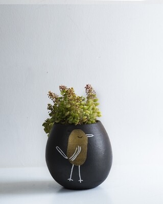 Igor jr. Terracotta Planter