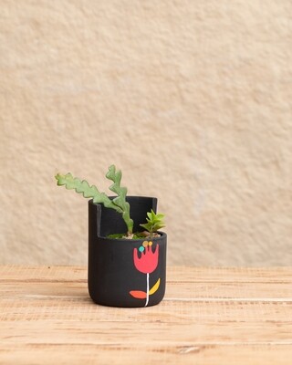 Hibiscus Terracotta Planter (Medium)