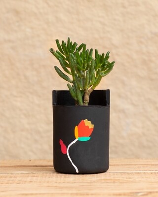 Tulip Terracotta Planter  (Large)
