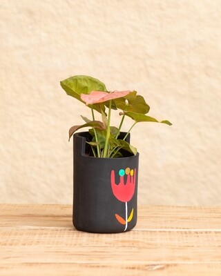 Hibiscus Terracotta Planter (Large)