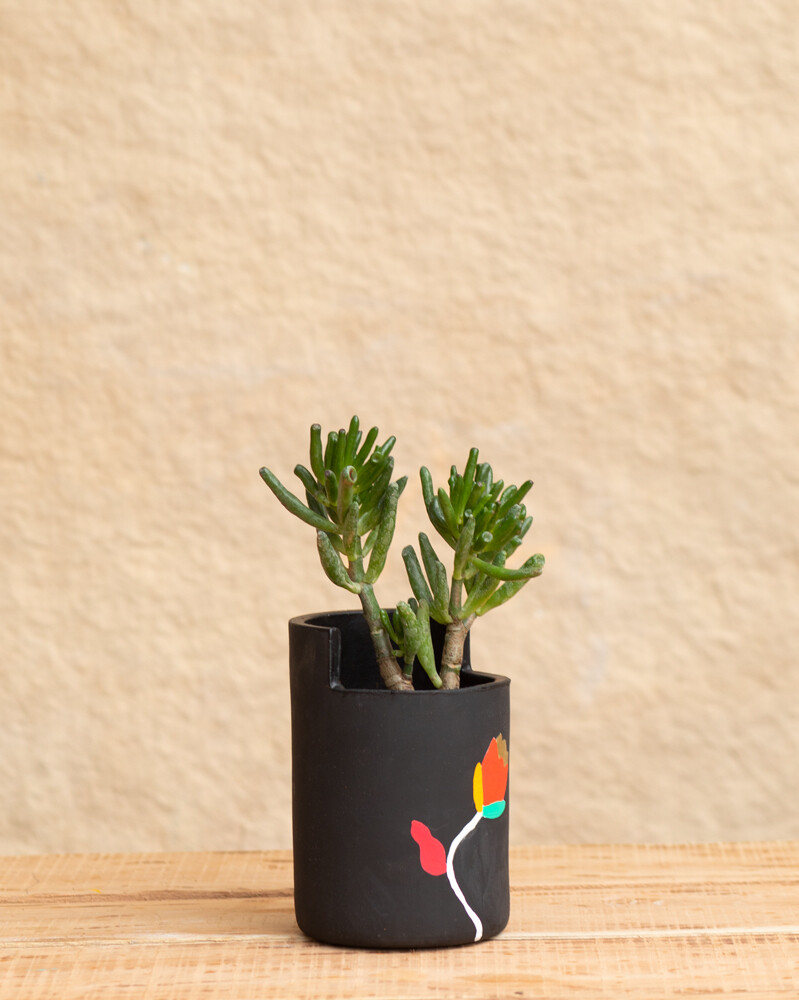 Tulip Terracotta Planter  (Large)