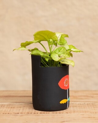 Sunny Sunflower Terracotta Planter  (Large)