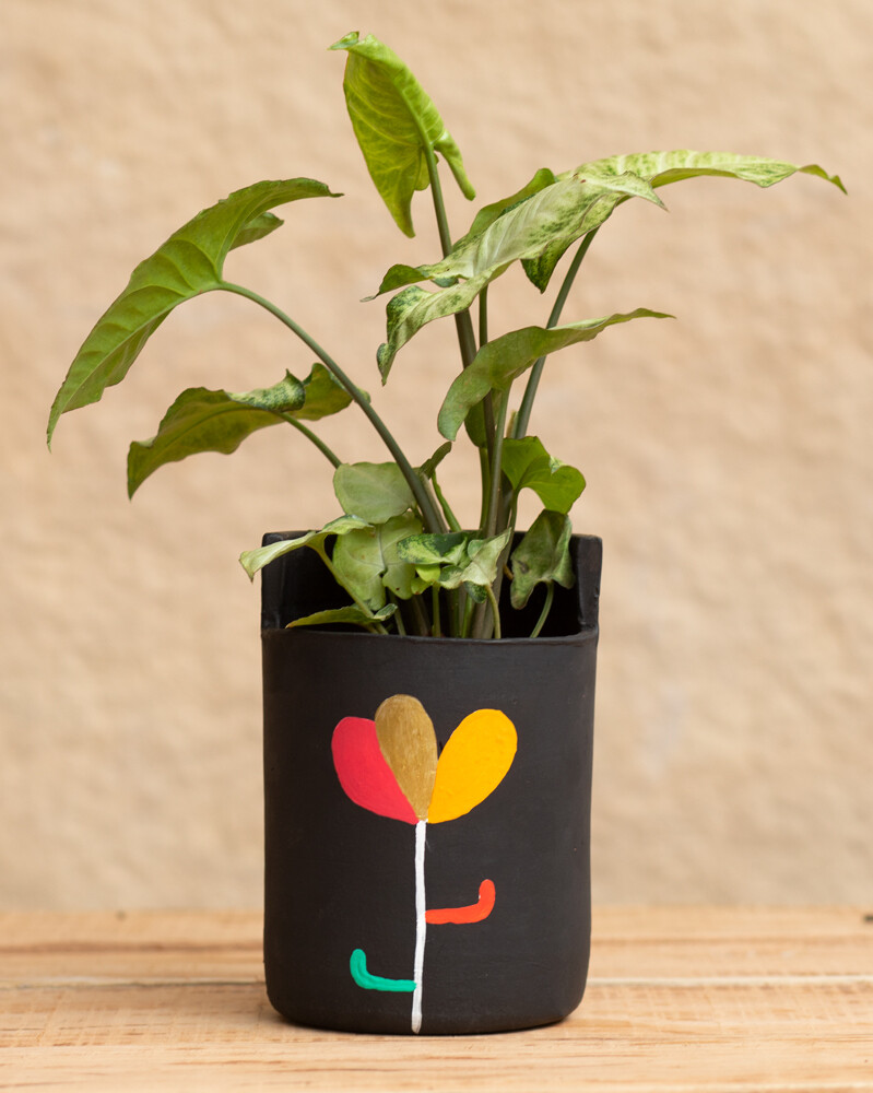 Jasmine Terracotta Planter  (Large)