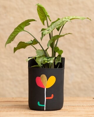Jasmine Terracotta Planter  (Large)