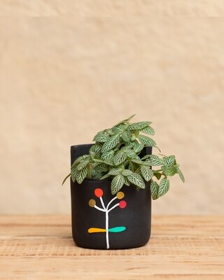 Dandelion Wish Terracotta Planter (Medium)