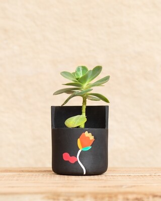 Tulip Terracotta Planter (Medium)