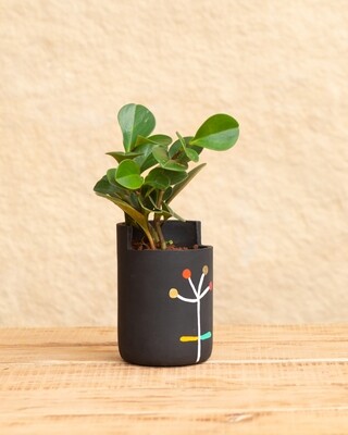 Dandelion Wish Terracotta Planter  (Large)