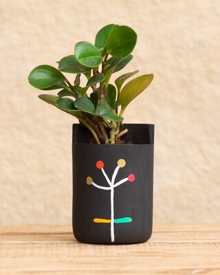 Dandelion Wish Terracotta Planter  (Large)