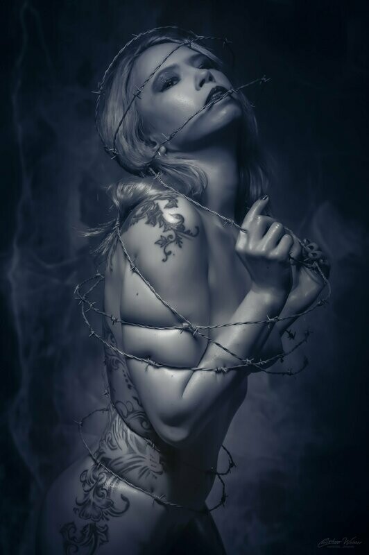 BARBED WIRE BARBED WIRE