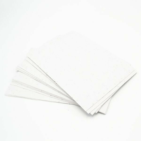 Vermoorden Controversieel Azijn Papier wit 100 grams A4 - 100 vel