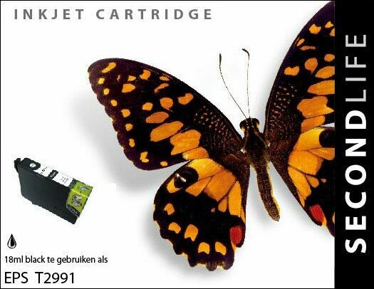 Epson 29 XL Black (T 2991)