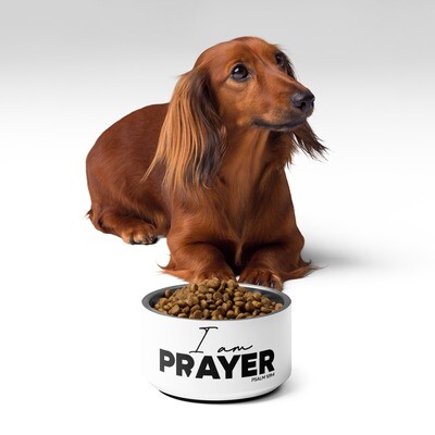 I Am PRAYER | Premier Design Pet bowl