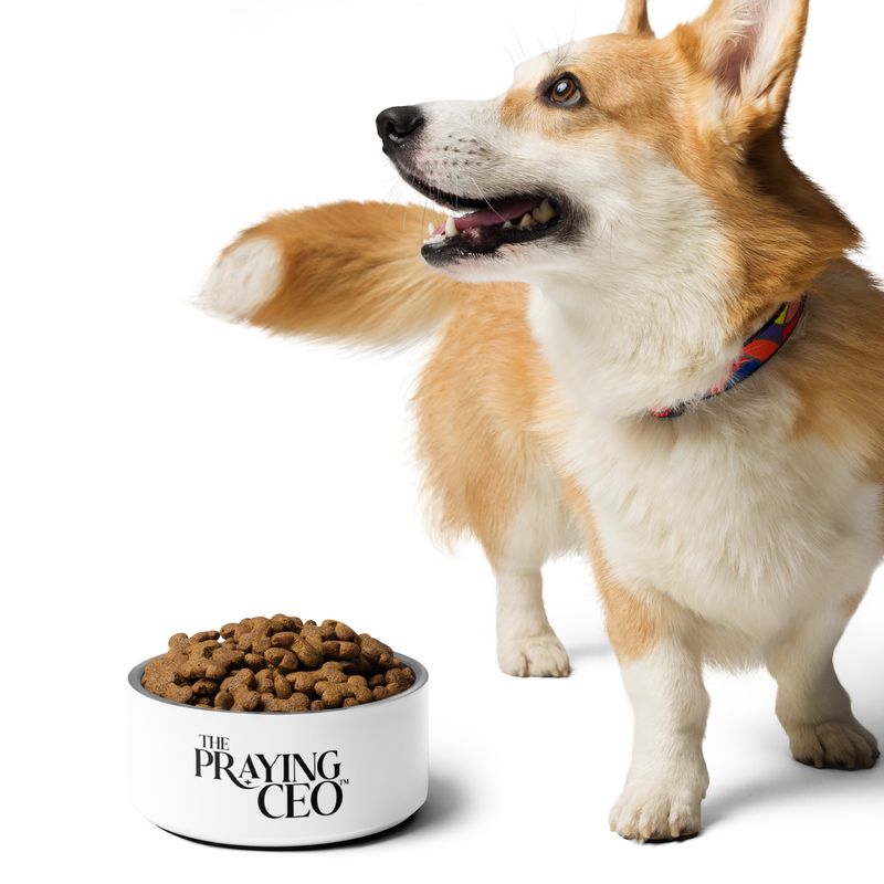 The Praying CEO Pet bowl