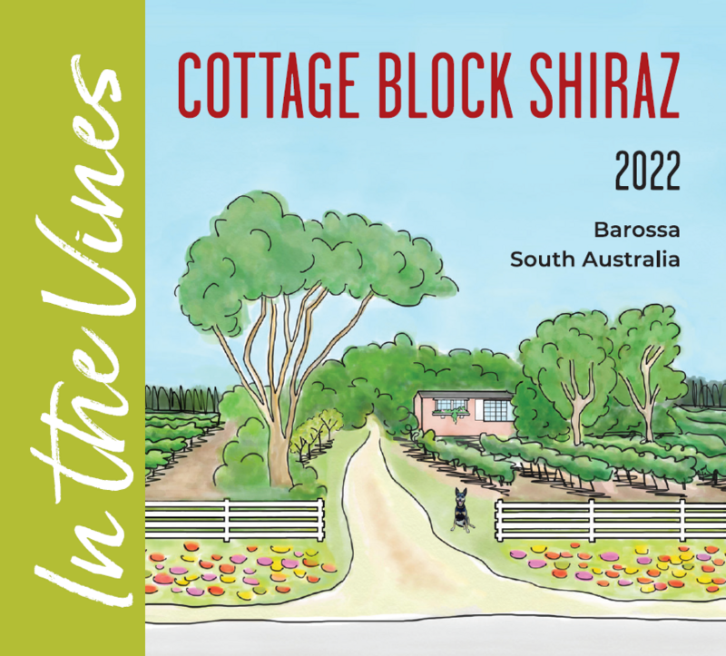 In The Vines Cottage Block Shiraz 2022 (Six Pack)