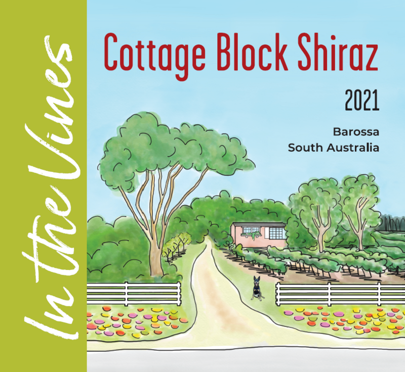 In The Vines Cottage Block Shiraz 2021 (Six Pack)