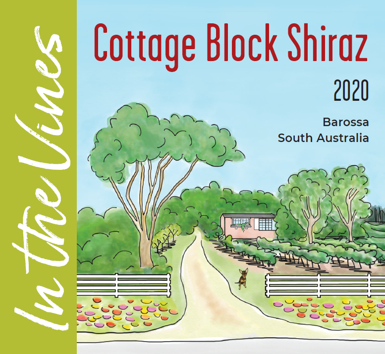 In The Vines Cottage Block Shiraz 2020 (Six Pack)